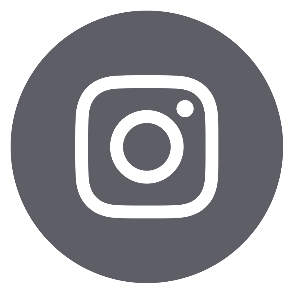 CF Instagram Icon 2017